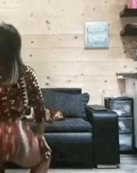 Я - собака на диване.