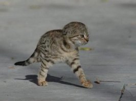 И ему достанется))