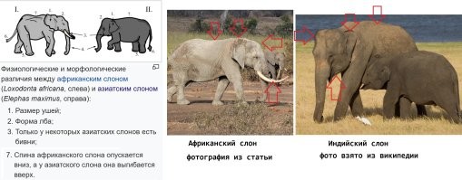 А что там в Ваших школах изучают?