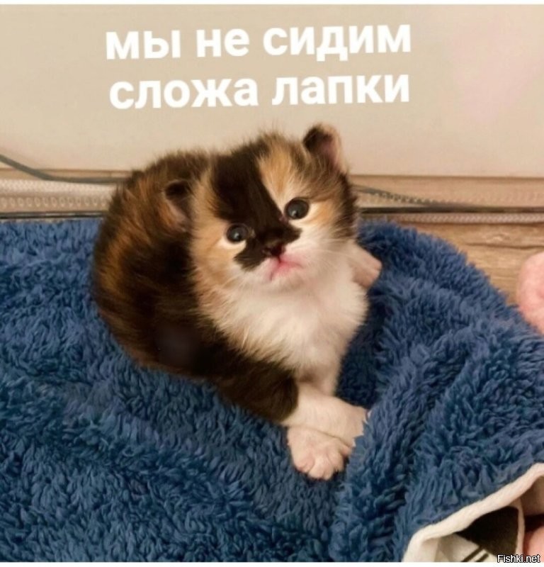 Солянка от 26.10.2022