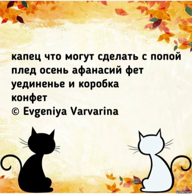 Солянка от 26.10.2022