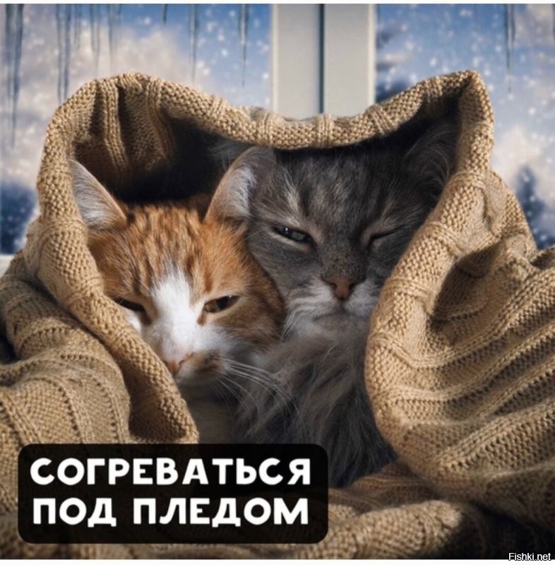 Солянка от 26.10.2022