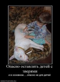 Смешные и познавательные картинки