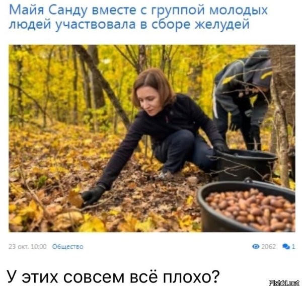 Каклосвиней кормить? ))