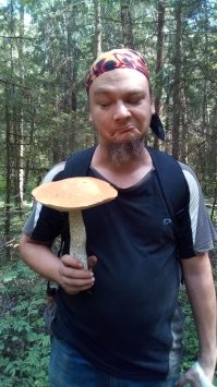 Самые удивительные находки грибников