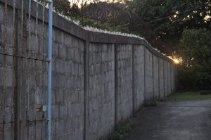 Там люди еще более опасные. На столько, что людей там выращивают за таким забором: