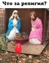 котоличество