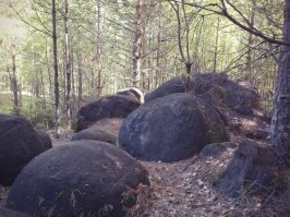 Жуковлянские камни. Кировская область.