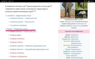 В школу надо хоть изредка заглядывать.