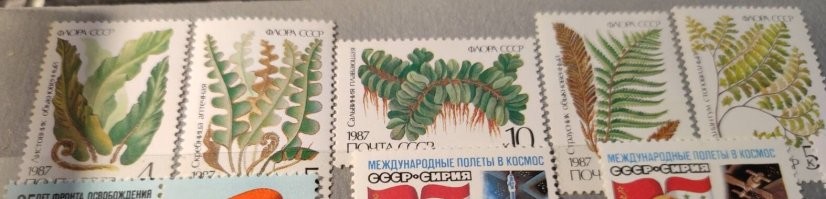 Эти марки явно выгорели на солнце...