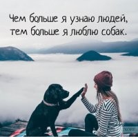 В Индии своя специфика, но, вообще: