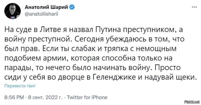 Жители Латвии пилят лавочки на дрова