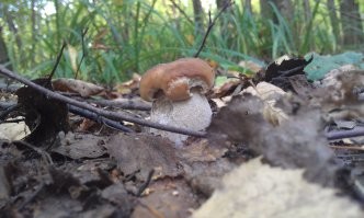 Я тоже люблю люблю "тихую охоту"