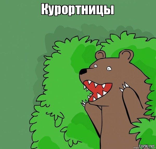 Медведь в кустах кричит шкура