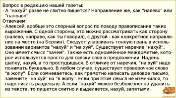 Йожика картинки. Выпуск 228