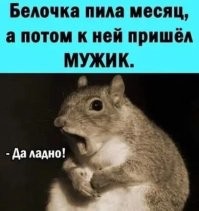 Алкопост на вечер этой пятницы