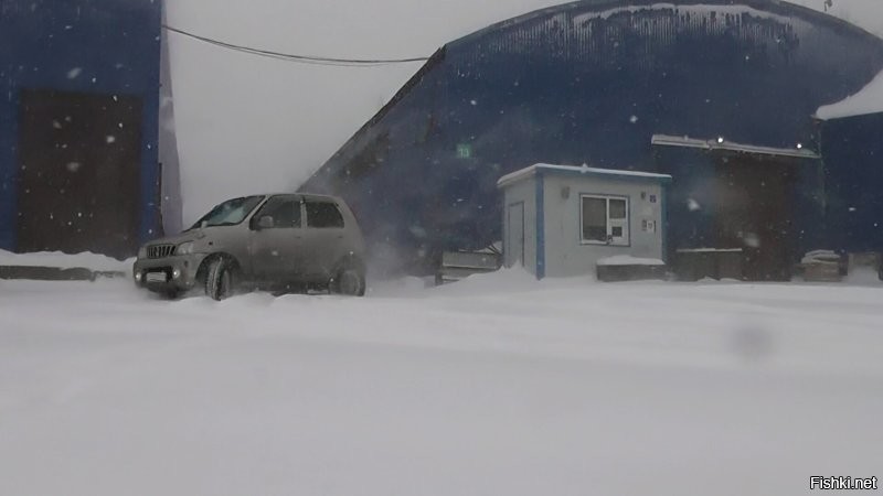 .
Есть штучка поинтересней Daihatsu Terios Kid