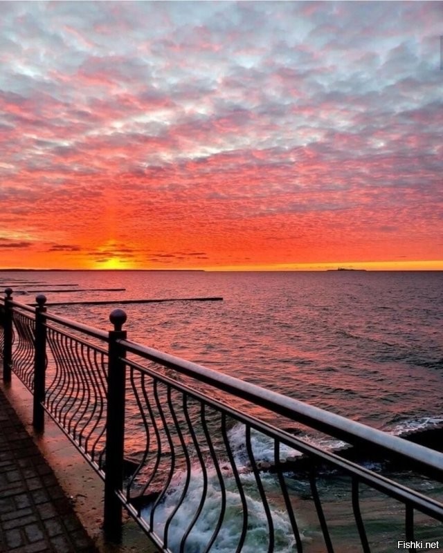 Ну, дык... Туристов заманиваем.  А закаты... Это нет просто слов какие закаты. Вот буквально вчера. А у котов есть котофейня и котовые особняки для проживания. Котов не только ваяем, но и рисуем и даже мозаики выкладываем. Ну и живых... тьма-тьмущая. И все при деле.)))) Есть коты пляжные. Есть смотритель Вечного Огня у мемориала. Есть Просто Красавица на Курортном проспекте. Есть слаженная банда вымогателей вкусняшек. Есть сторож паркового моста и аниматор в кафе у моря.