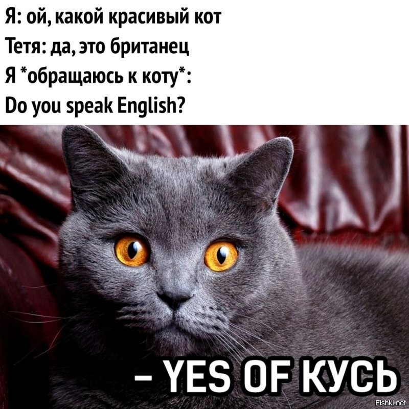 Солянка от 30.10.2022