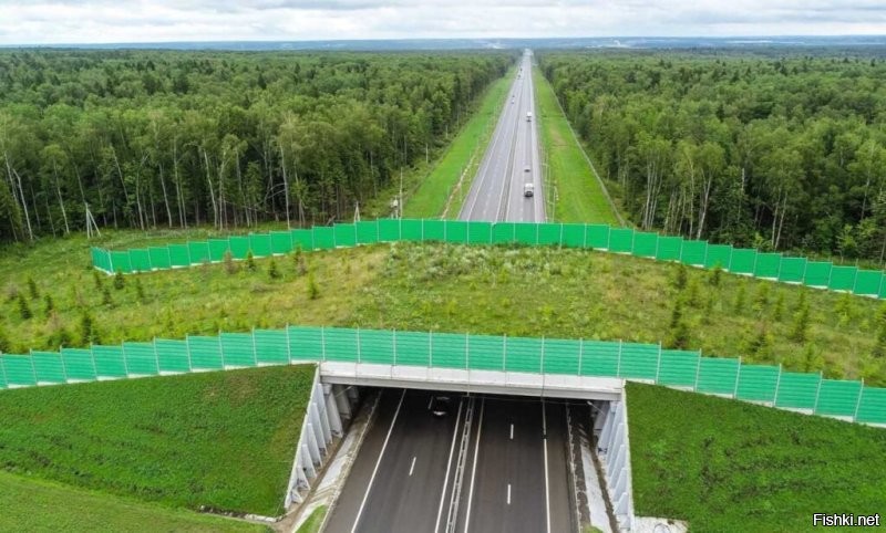 Так у нас тоже такие строят (на фото, например, мост для зверей в Калужской области), но, к сожалению, не везде где необходимо.