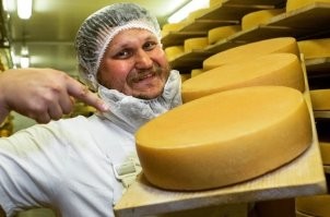 То есть автор предлагает в ненарезанном виде сыр продавать .... оптово так скажем .. кило по 12 ... и кстати некоторые виды сыров вызревают 3-4 года ...  Можно на "вырост" покупать )))