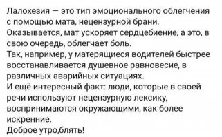 Чиновники придумали, чем можно заменить ненормативную лексику в быту