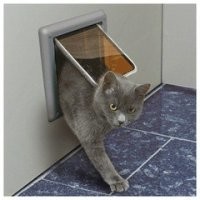 Вы не знали, что в каждом самолете у пилотов оборудована дверца для котиков?
Например, в боинге-747 есть спец.лючок в полу, т.к. самолет двухпалубный. А в Аэробусе А380 их несколько, разного размера соответственно классу обслуживания.

А вообще, это мог быть и бизнес-джет.