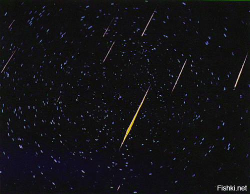 К фотографии "Метеоритный шторм в 1833 году наполнил небо более чем 72 000 метеоров в час"

Леониды   метеорный поток с радиантом в созвездии Льва, действующий с 14 по 21 ноября. Знаменит сильными метеорными дождями.
Связан с кометой Темпеля   Туттля. Имеет ярко выраженную периодичность около 33 лет, соответствующую возвращениям кометы-прародительницы к Солнцу. Последний раз комета прошла перигелий в 1998 году, и вновь вернётся лишь в 2031 году.
Поток характерен быстрыми беловатыми метеорами, влетающими в атмосферу Земли со скоростью 71 км/с. Интенсивность потока варьируется от года к году и зависит от плотности потока, через который проходит Земля.

Самым ранним историческим свидетельством об этом метеорном потоке является его описание, сделанное Евтихием Александрийским в 901 году.
Наиболее известен метеорный дождь, который наблюдался в ноябре 1833 года в США на территории от Атлантического океана до Скалистых гор. Агнес Клерк описывала его так: «Буря падающих звёзд обрушилась на Землю…, небо в любом направлении было забито светящимися следами и освещалось величественными болидами. В Бостоне частота метеоров оценивалась приблизительно в половину её значения для хлопьев снега в буране средней силы». В связи с этим явлением многие проповедники утверждали, что близится Судный День. Это событие было увековечено в легендах индейцев и в песнях темнокожих рабов.