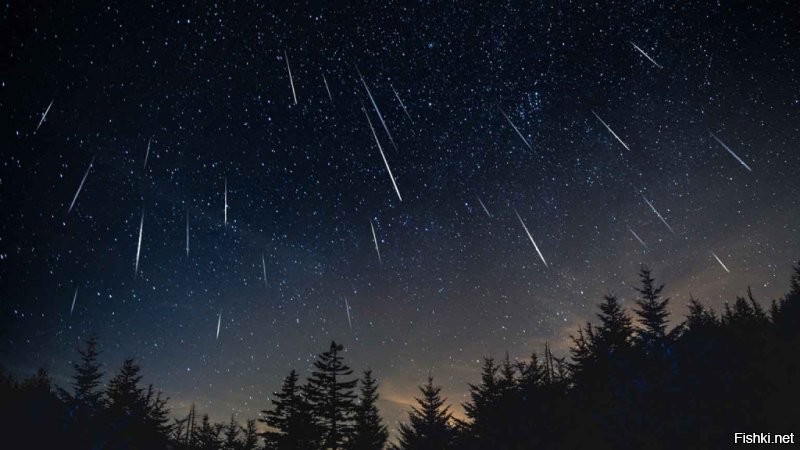 К фотографии "Метеоритный шторм в 1833 году наполнил небо более чем 72 000 метеоров в час"

Леониды   метеорный поток с радиантом в созвездии Льва, действующий с 14 по 21 ноября. Знаменит сильными метеорными дождями.
Связан с кометой Темпеля   Туттля. Имеет ярко выраженную периодичность около 33 лет, соответствующую возвращениям кометы-прародительницы к Солнцу. Последний раз комета прошла перигелий в 1998 году, и вновь вернётся лишь в 2031 году.
Поток характерен быстрыми беловатыми метеорами, влетающими в атмосферу Земли со скоростью 71 км/с. Интенсивность потока варьируется от года к году и зависит от плотности потока, через который проходит Земля.

Самым ранним историческим свидетельством об этом метеорном потоке является его описание, сделанное Евтихием Александрийским в 901 году.
Наиболее известен метеорный дождь, который наблюдался в ноябре 1833 года в США на территории от Атлантического океана до Скалистых гор. Агнес Клерк описывала его так: «Буря падающих звёзд обрушилась на Землю…, небо в любом направлении было забито светящимися следами и освещалось величественными болидами. В Бостоне частота метеоров оценивалась приблизительно в половину её значения для хлопьев снега в буране средней силы». В связи с этим явлением многие проповедники утверждали, что близится Судный День. Это событие было увековечено в легендах индейцев и в песнях темнокожих рабов.