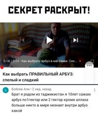 По каким признакам отличить спелый арбуз