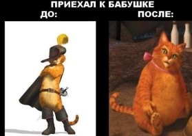 К 23-й картинке