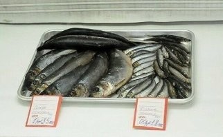 Зато сейчас килька дороже селедки стоит))