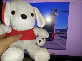 На мусоровозе работал, так много игрушек выкидывали, некоторые брал себе, на торпеде катались. Потом тракторист наш увидел, себе в трактор парочку забрал, с механиком пришлось поделиться. Увольнялся, Жорика себе забрал :).