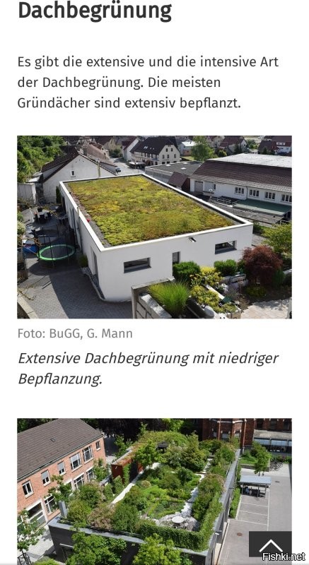 Ну ничего нового в этом нет, чтоб это не сделать. Да хоть у себя дома. Называется озеленение крыши.