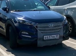 Ямало-Ненецкий автономный округ. Там гнус очень нажористый. Радиатор забивает насмерть. А на фото - противомоскитная сетка.