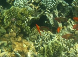 Полностью согласен! 
Выше поверхности воды, там делать нечего.