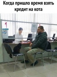 Интересно, зачем Коровьеву с Бегемотом понадобился МФЦ?