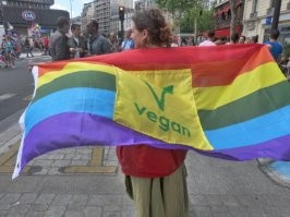 О противостоянии мясоедов и веганов