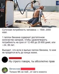 Пивная коза, доставшая жена и другие любопытные факты и истории