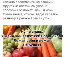 Пивная коза, доставшая жена и другие любопытные факты и истории