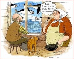 Йожика картинки. Выпуск 231