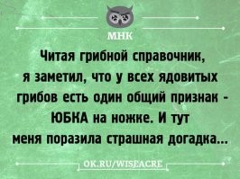 Йожика картинки. Выпуск 231