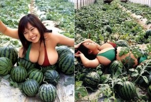 Йожика картинки. Выпуск 231
