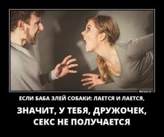 Йожика картинки. Выпуск 231