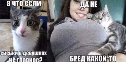 Всё вразнобой