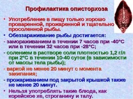 Как рыбачат ханты и ненцы. Секреты коренных народов