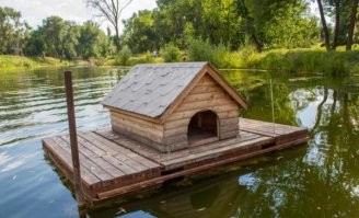 Птицы разные бывают.