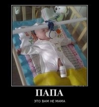 20+ отцов-молодцов