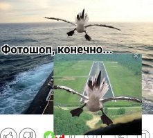 Намешалось