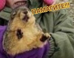 Намешалось